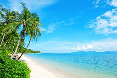 SPIAGGIA TROPICALE | Carta da parati sfondo mare caraibico